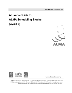 A User`s Guide to ALMA Scheduling Blocks