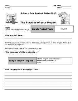 The Purpose of your Project