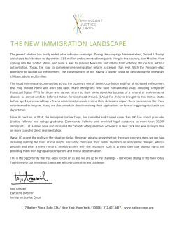 the new immigration landscape