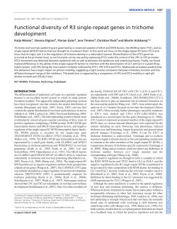 Functional diversity of R3 single