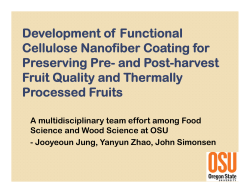 Development of Functional Cellulose Nanofiber Coating for