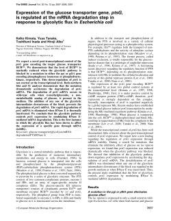 Expression of the glucose transporter gene, ptsG, is regulated at the