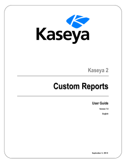 Custom Reports