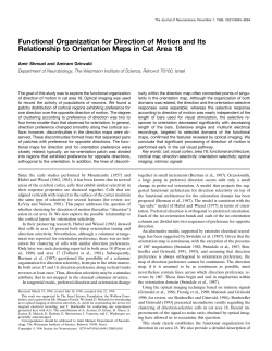 Functional Organization for Direction of Motion and Its Relationship