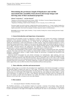 Determining the persistence length of biopolymers and rod