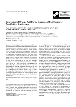 Involvement of Organic Acid During Corrosion of Iron Coupon by