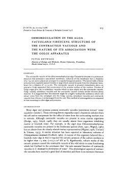 osmoregulation in the alga vacuolaria virescens. structure of the