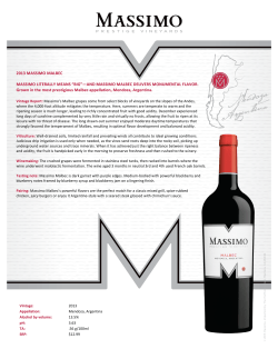 2013 MASSIMO MALBEC MASSIMO LITERALLY MEANS &ldquo;BIG