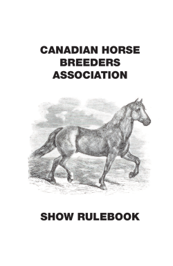 CHBA Show Rulebook