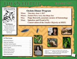June/July 2017 Ocelots newsletter