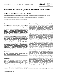 Metabolic activities in germinated ancient lotus seeds