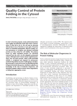 "Quality Control of Protein Folding in the Cytosol".