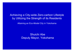 Achieving a City-wide Zero-carbon Lifestyle by Utilizing the Strength