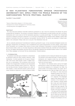 A new planktonic foraminifera species ( nov. spec.) from the Middle