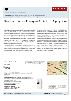 Membrane Water Transport Proteins - Aquaporins