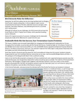 At-a-Glance: Florida`s Coastal Nesting Season 2013