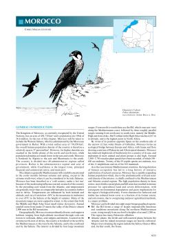 Morocco - BirdLife Data Zone