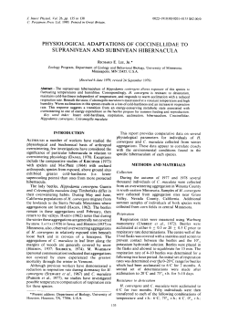 physiological adaptations of coccinellidae to supranivean and