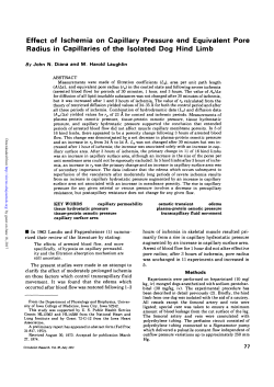 Effect of Ischemia on Capillary Pressure and Equivalent Pore