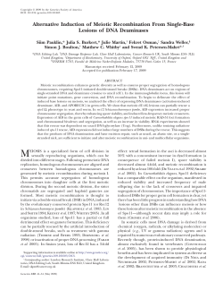 Alternative Induction of Meiotic Recombination From