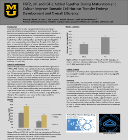FGF2, LIF, and IGF-1 Added Together during Maturation and Culture
