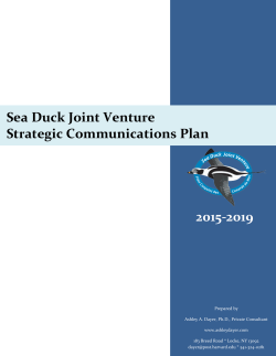 SDJV Strategic Communications Plan