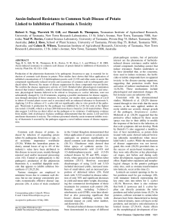Auxin-Induced Resistance to Common Scab Disease of Potato