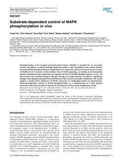 Substrate‐dependent control of MAPK phosphorylation in vivo