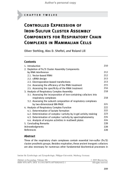 Controlled Expression of Iron-Sulfur Cluster Assembly