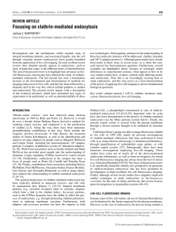 Focusing on clathrin-mediated endocytosis