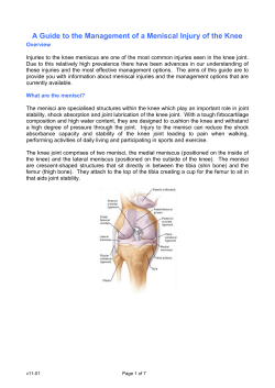 A Guide to the Management of a Meniscal Injury of the Knee