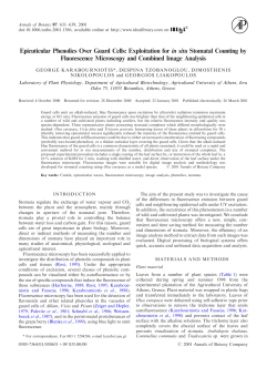 Epicuticular Phenolics Over Guard Cells