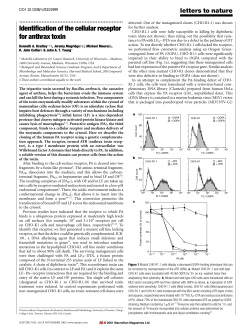 Identification of the cellular receptor for anthrax toxin