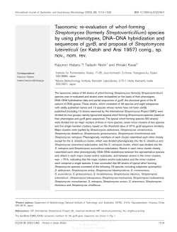 Taxonomic re-evaluation of whorl-forming Streptomyces (formerly