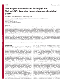 Distinct plasma-membrane PtdIns(4)P and PtdIns(4,5)P2 dynamics