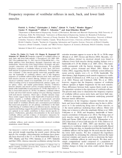 Frequency response of vestibular reflexes in neck, back, and lower