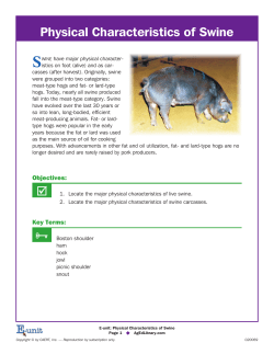 Physical Characteristics of Swine