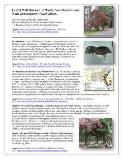 Handout_11_-_Laurel_.. - Delaware Invasive Species Council