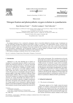 Nitrogen fixation and photosynthetic oxygen evolution in