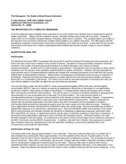 The Hemogram: The Guide to Blood Smear Evaluation A. Rick