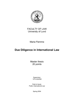 Due Diligence in International Law