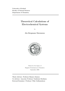 Theoretical Calculations of Electrochemical Systems
