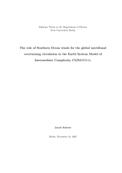 The role of Southern Ocean winds for the global meridional