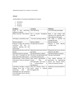 Answer: Urochordates or Tunicata are devided