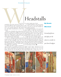 Headstalls - Dennis Moreland Tack