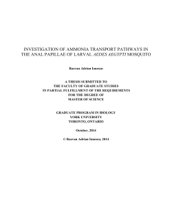 INVESTIGATION OF AMMONIA TRANSPORT PATHWAYS IN THE