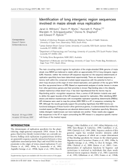 Identification of long intergenic region sequences involved in maize