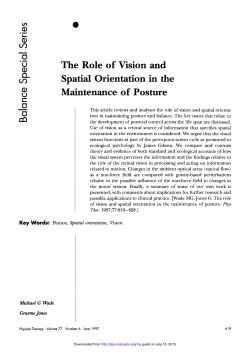 The Role of Vision and Spatial Orientation in the Maintenance of