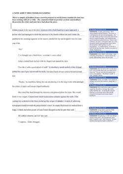 Mentoring Sample Feedback