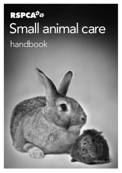 RSPCA small animal care handbook